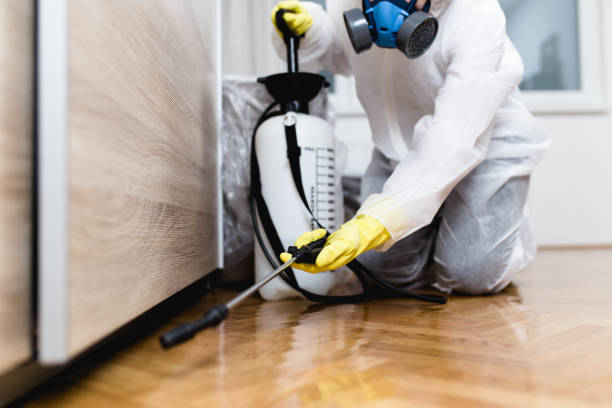 Best Termite Control Services  in Crump, TN