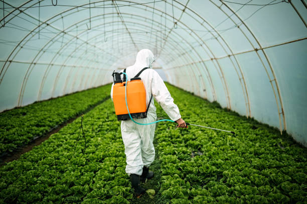 Best Affordable Pest Control Services  in Crump, TN