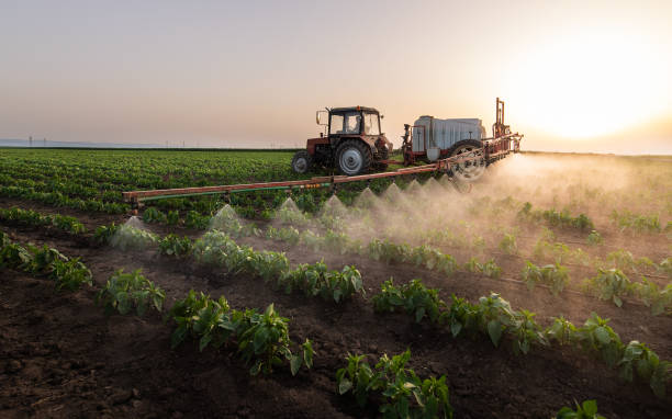 Best Pest Prevention Services  in Crump, TN