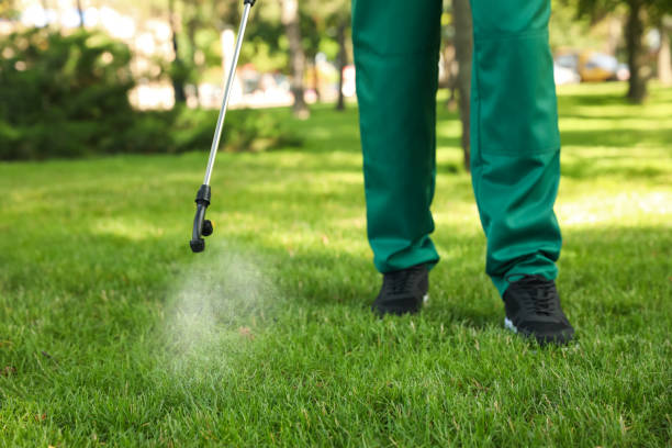 Trusted Crump, TN Pest Control Experts