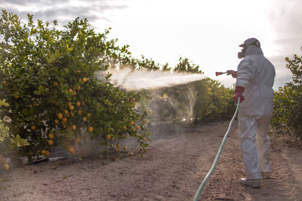 Best Best Pest Control Companies  in Crump, TN