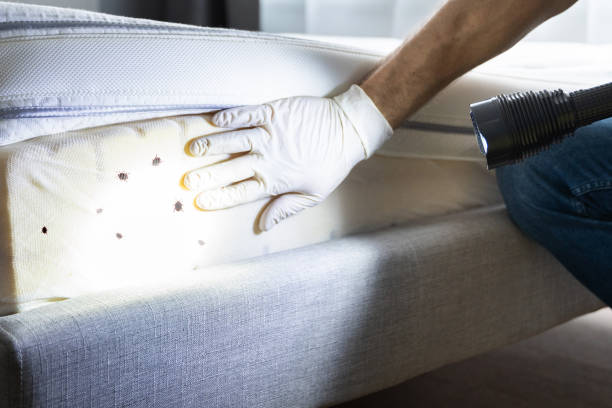 Best Best Pest Control Companies  in Crump, TN