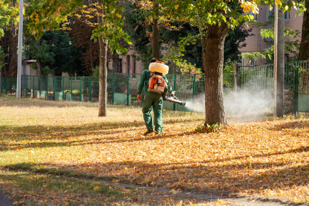 Best Cockroach Control Services  in Crump, TN