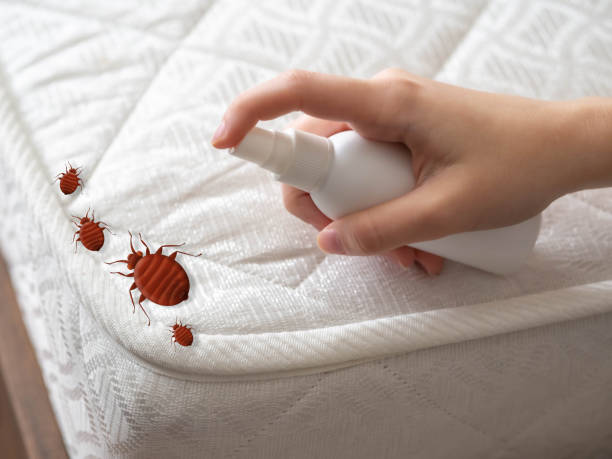 Best Exterminator Services  in Crump, TN