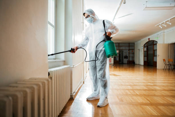 Best Local Pest Control Services  in Crump, TN