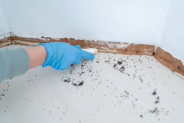 Best Pest Control for Restaurants  in Crump, TN