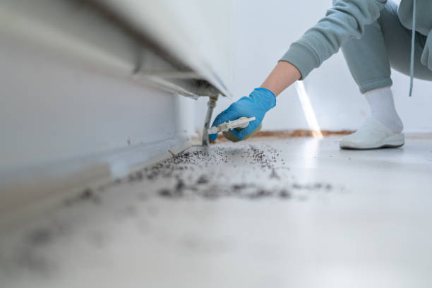 Best Wildlife Control Services  in Crump, TN