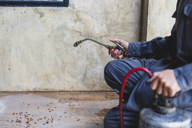 Best Pest Removal Services  in Crump, TN