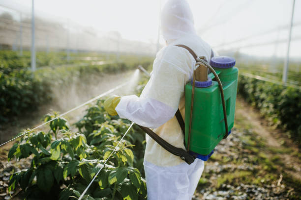 Best Bed Bug Extermination  in Crump, TN